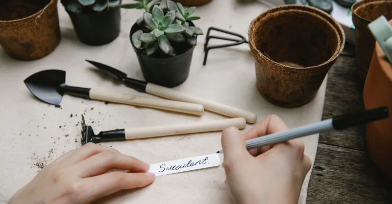 Plain Names, Big Worlds: The Hidden Power of Calling Your Character Something Simple